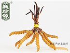 x(chng)Ĳ2.5l/ ڲ x؛r(ji)252Ԫ/